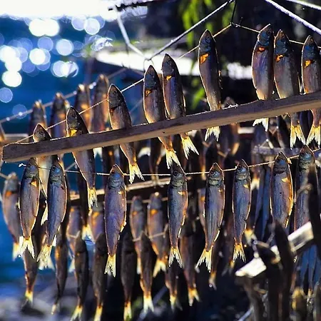 Dream Διαμέρισμα Βαρένα